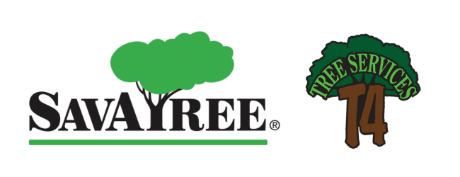 T4 Tree Services